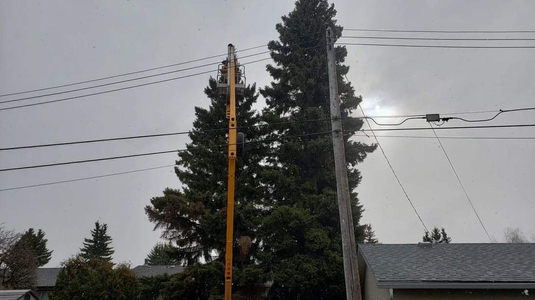 20190503_090656.jpg