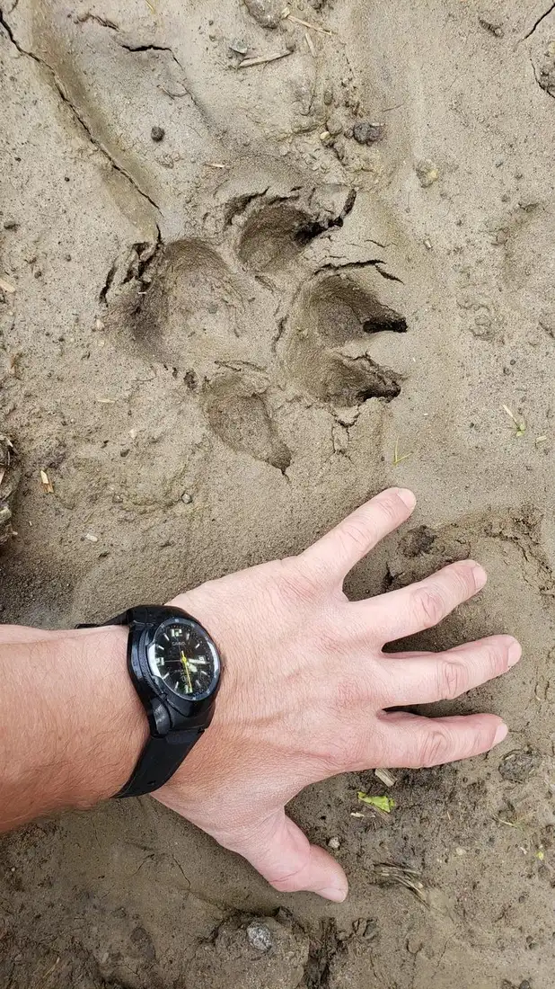 20190703_160808.jpg